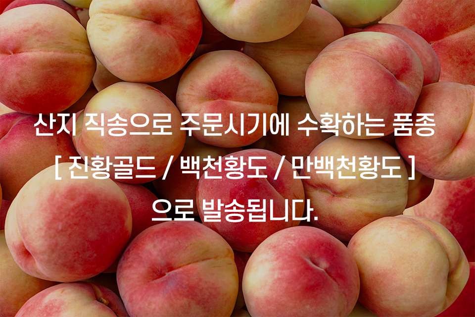 editor이미지