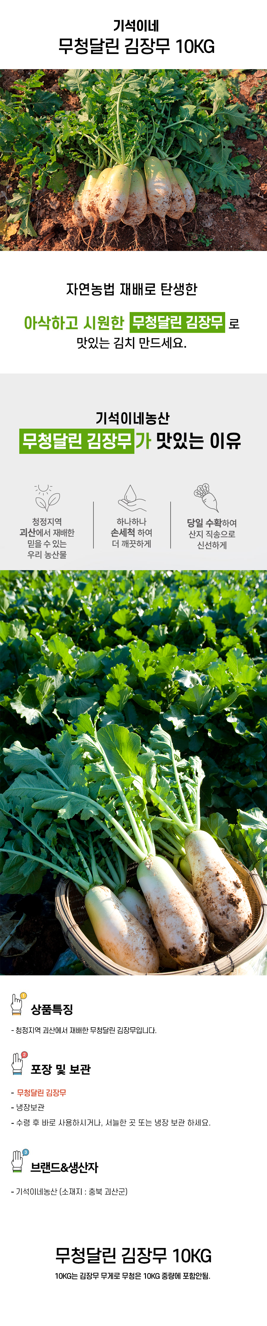 editor이미지