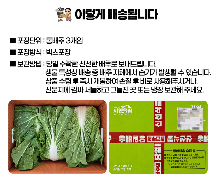editor이미지