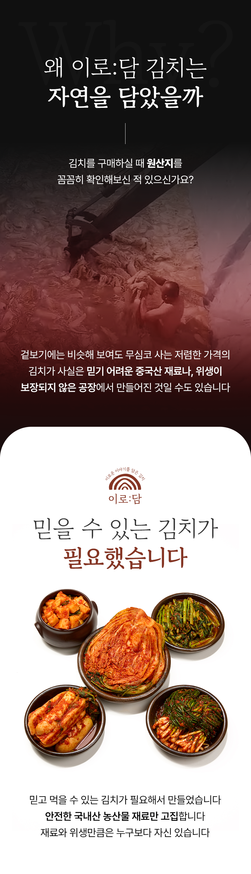 editor이미지