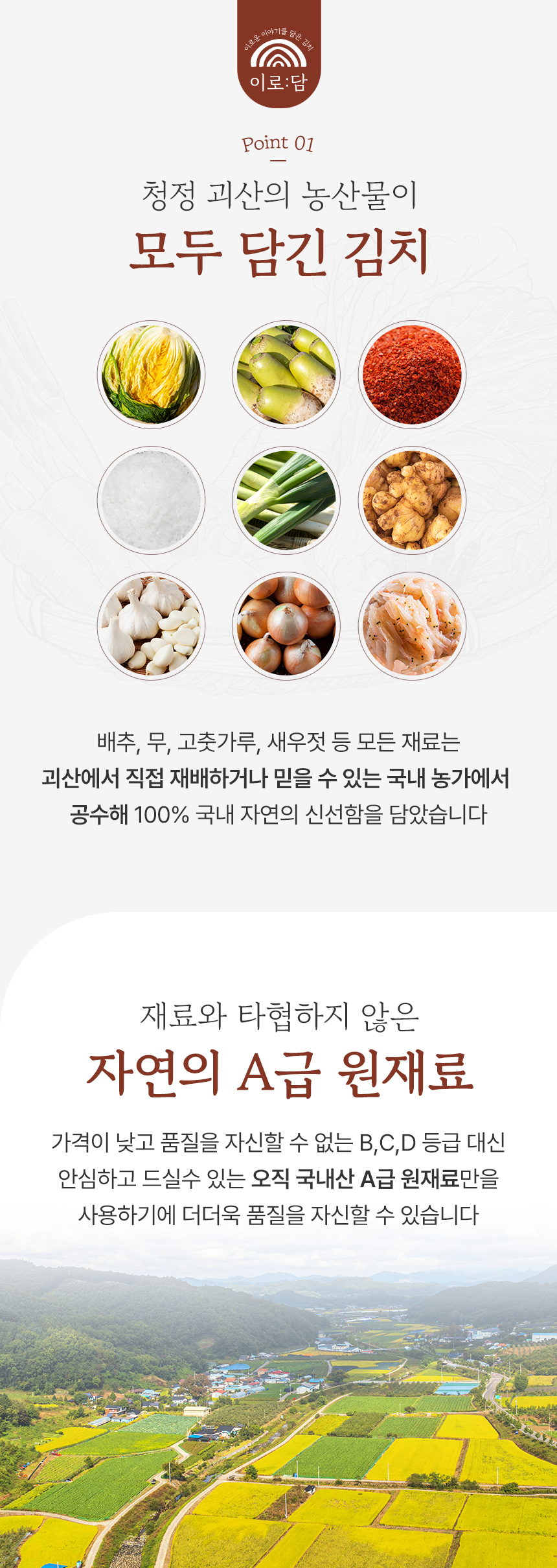 editor이미지