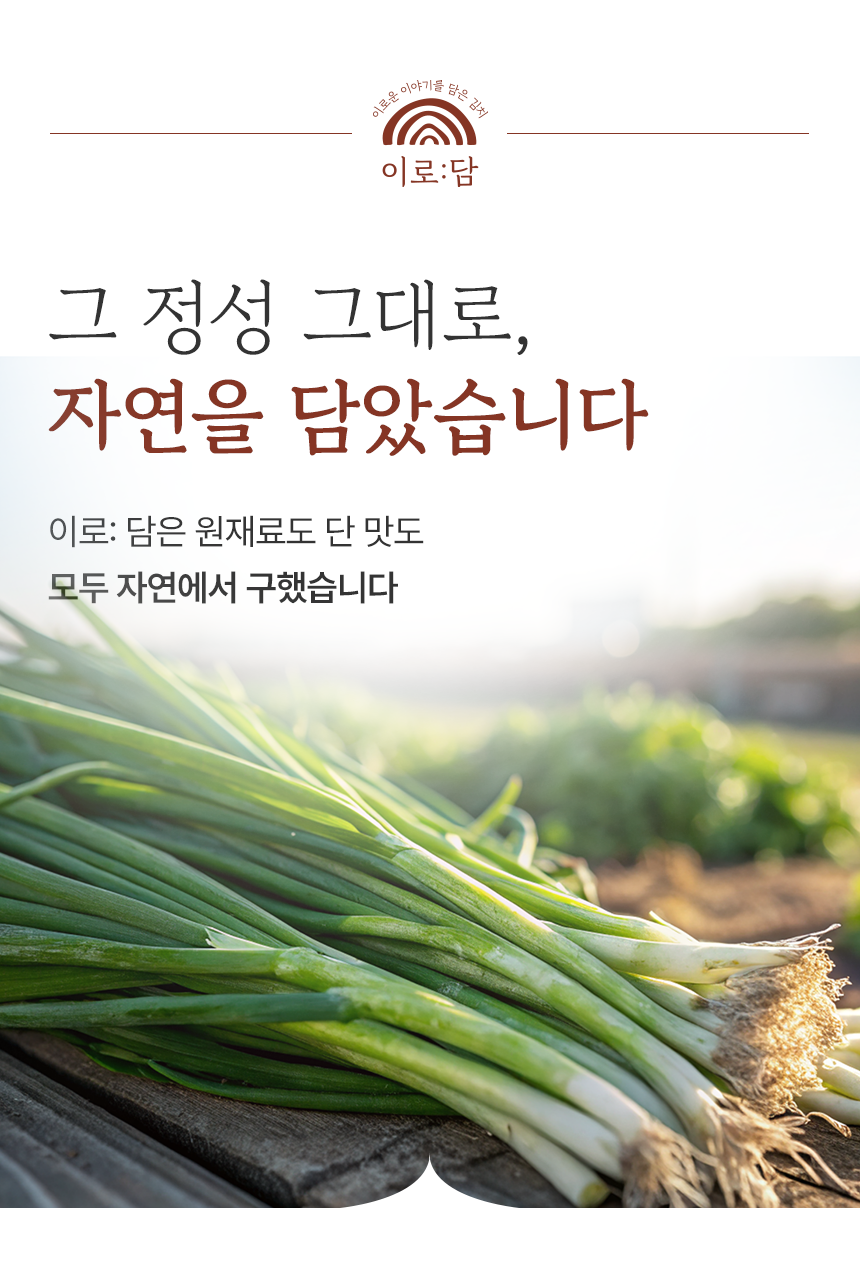 editor이미지