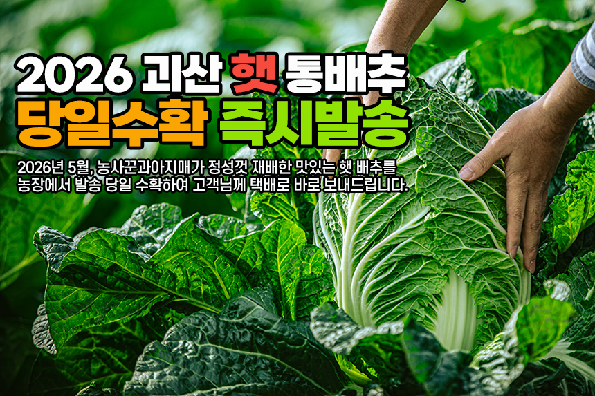 editor이미지