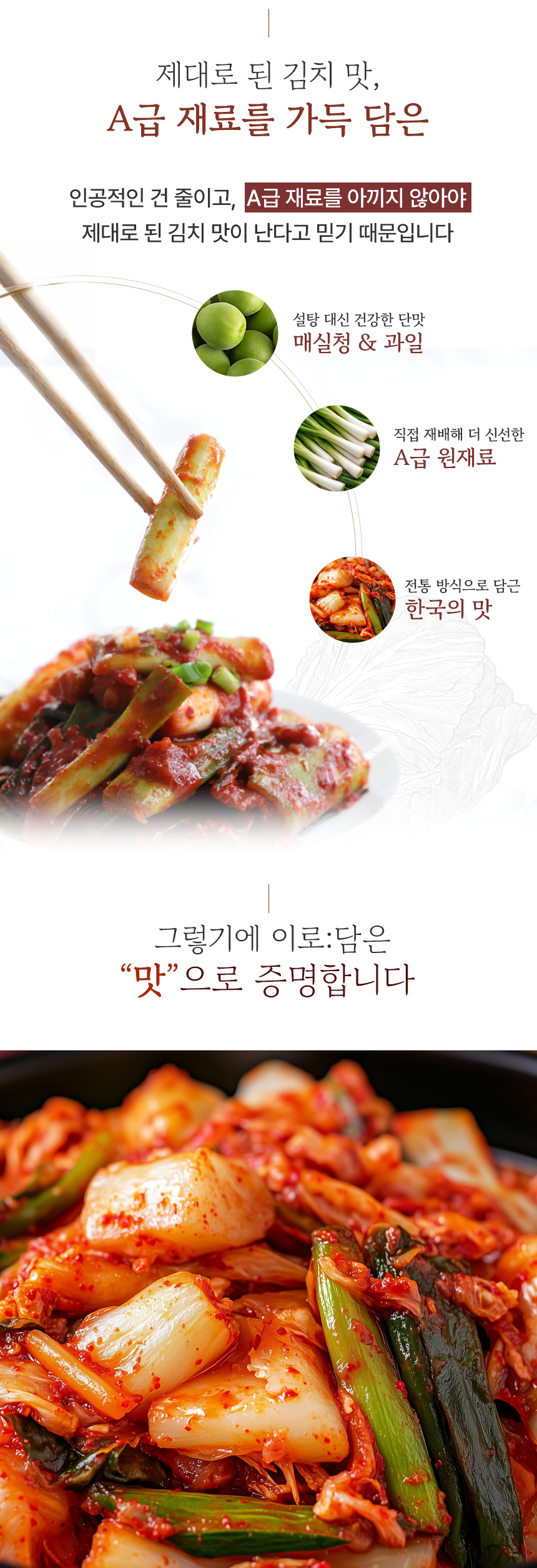 editor이미지
