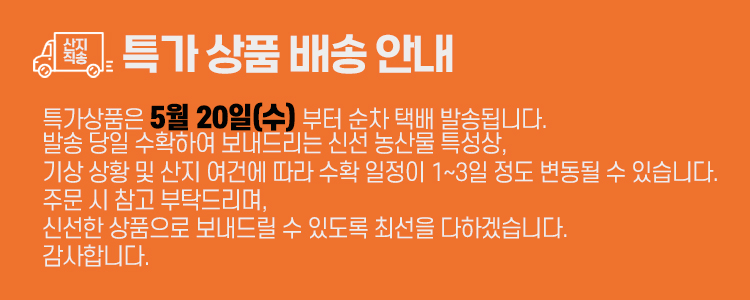 editor이미지