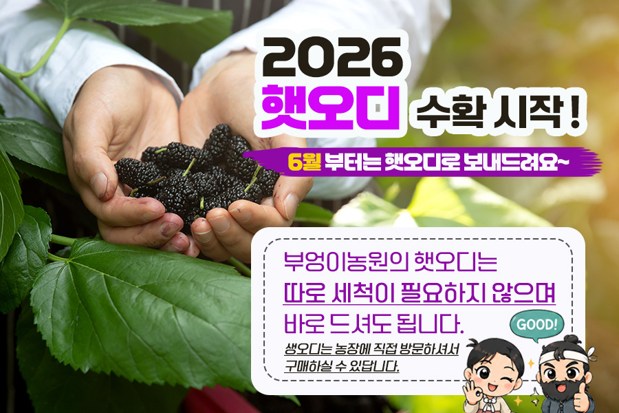 editor이미지