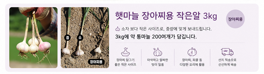 editor이미지