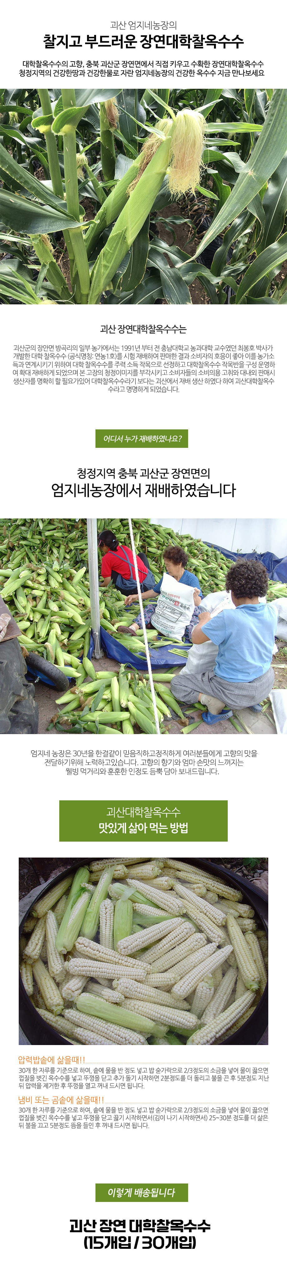 editor이미지