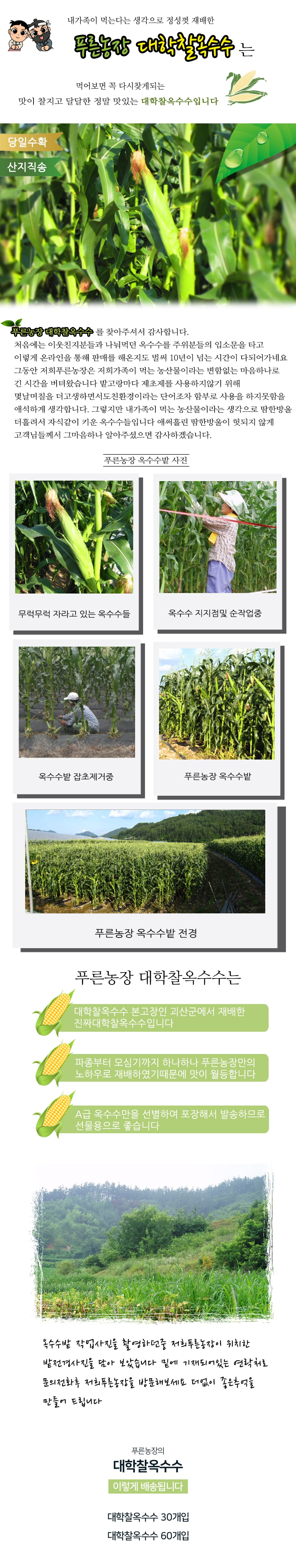 editor이미지