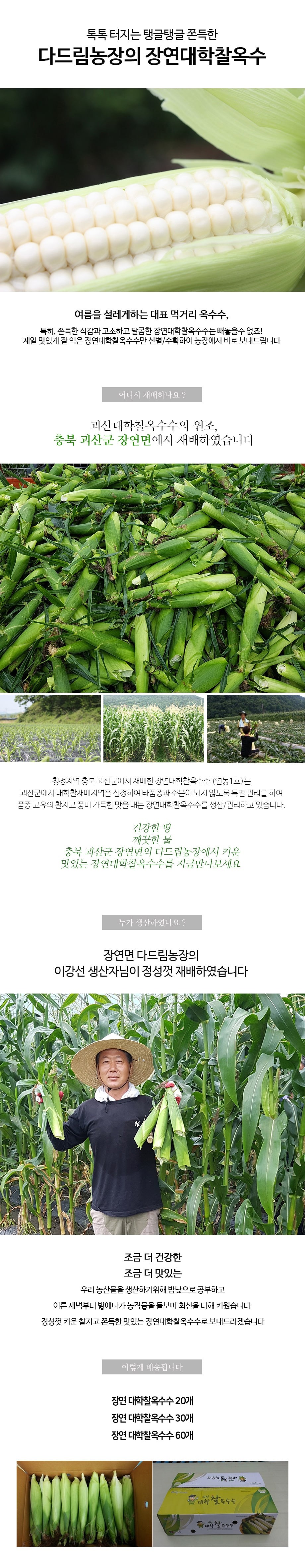 editor이미지