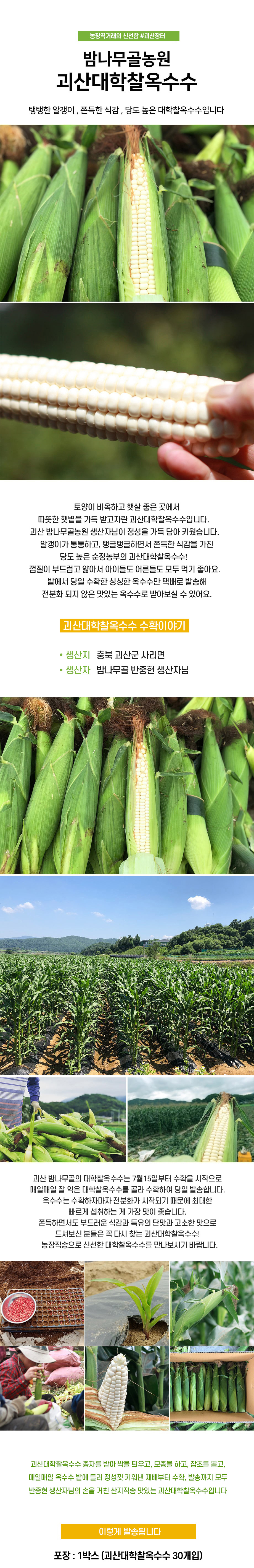 editor이미지