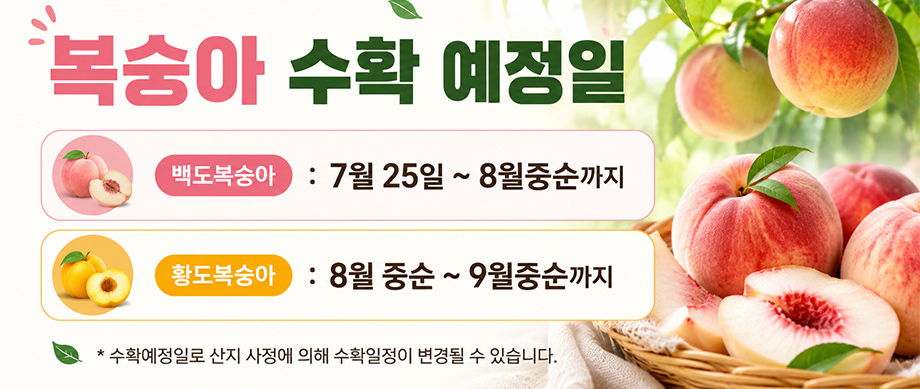 editor이미지
