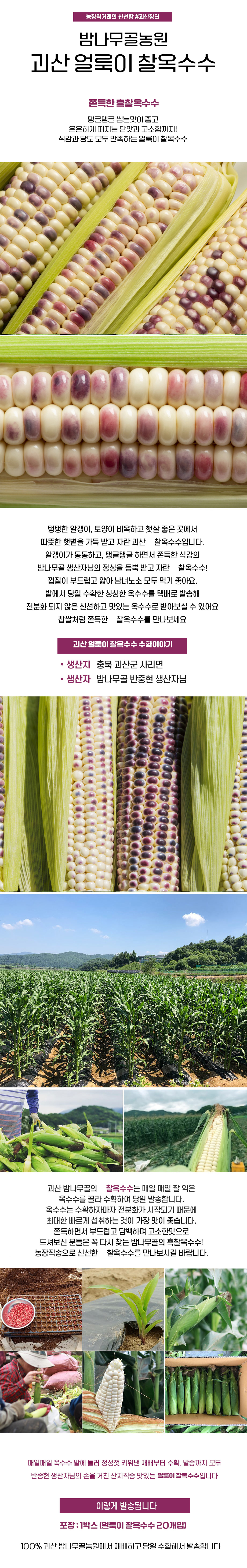 editor이미지