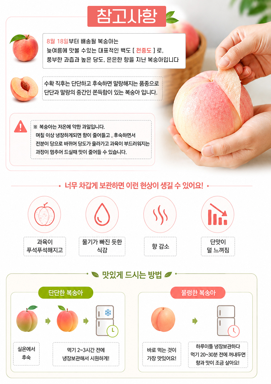 editor이미지