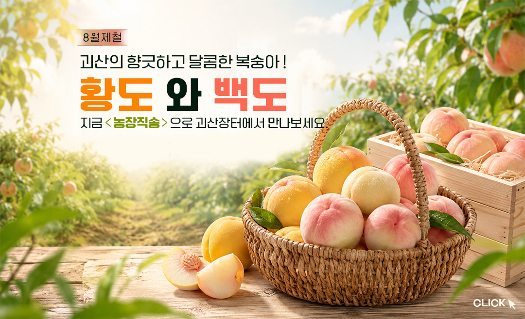 editor이미지