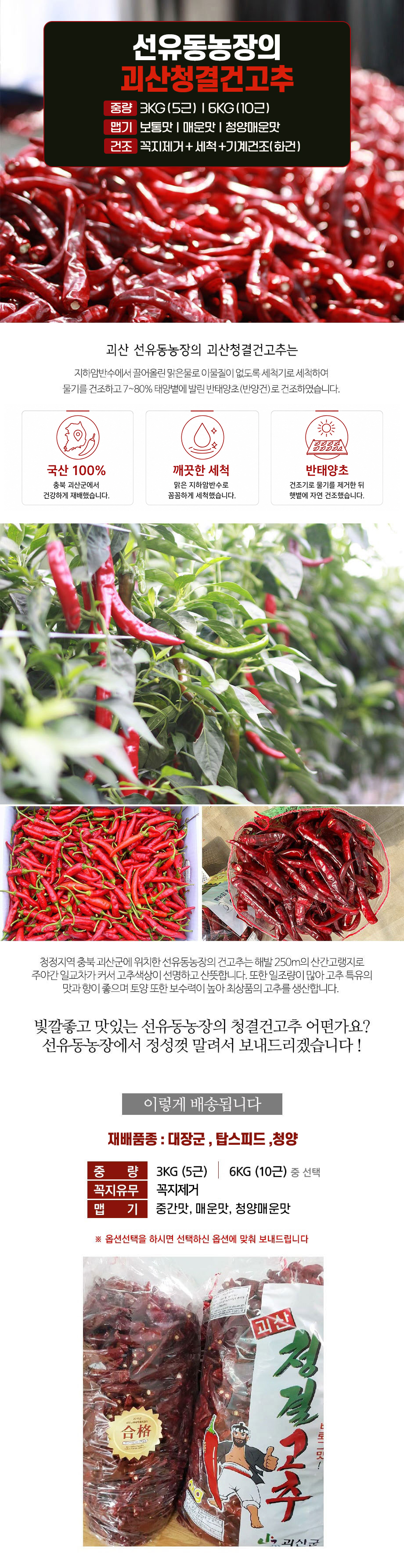 editor이미지