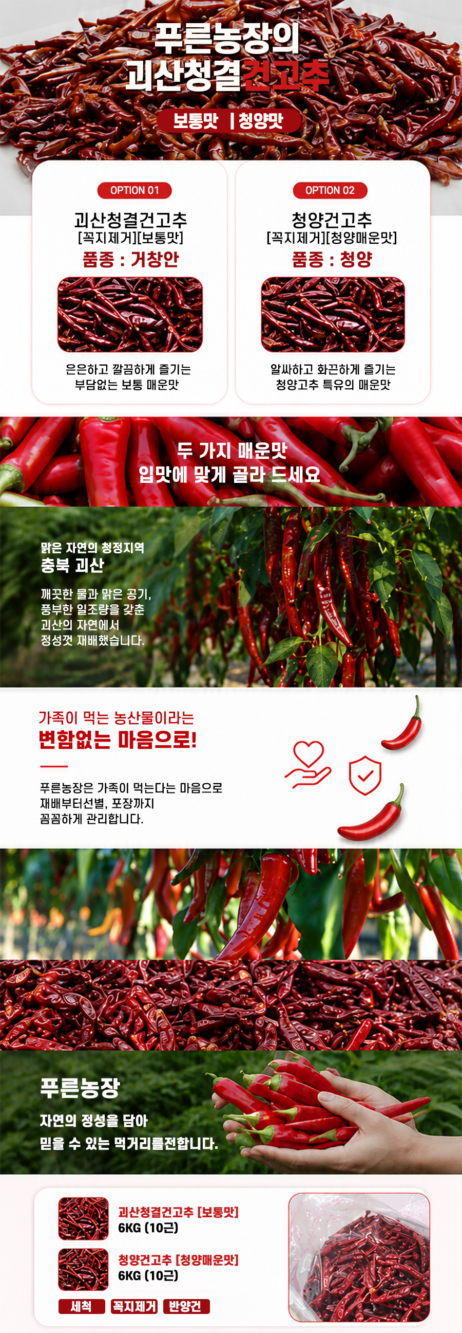editor이미지