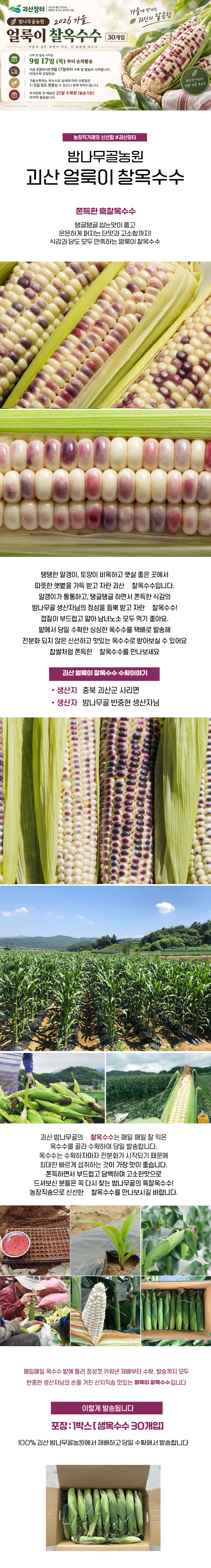 editor이미지
