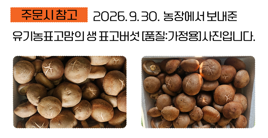 editor이미지