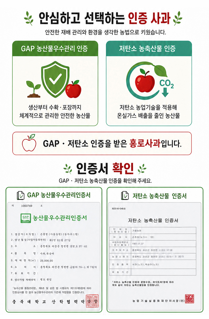editor이미지