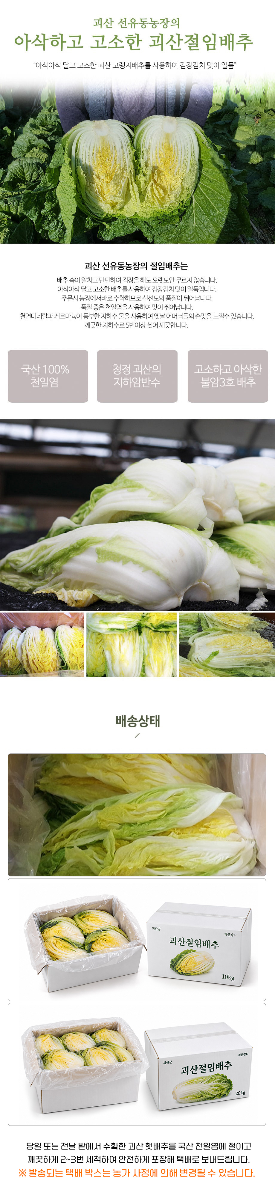 editor이미지