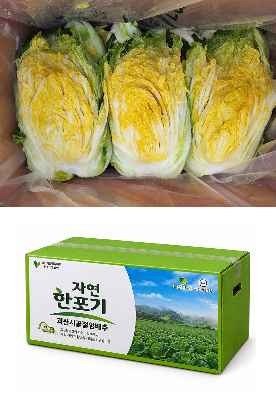 editor이미지
