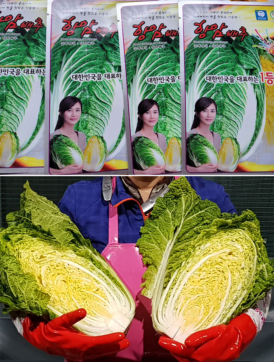 editor이미지
