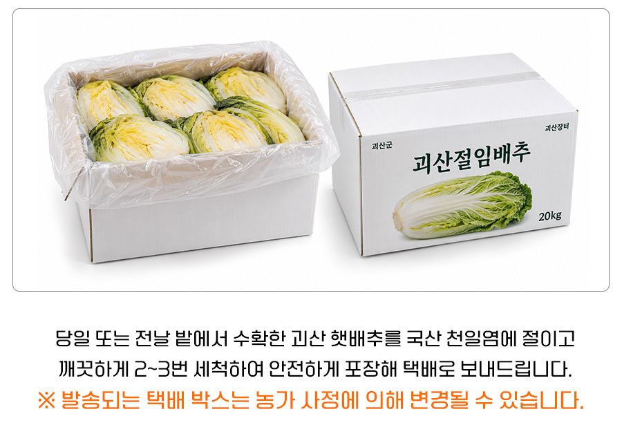 editor이미지
