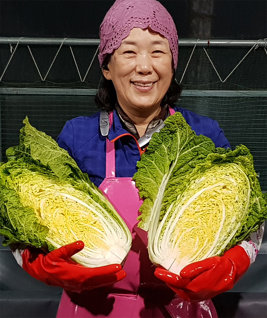 editor이미지