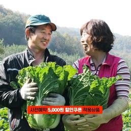 [2025사전예약][양달농장]괴산절임배추 (20kg)