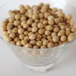 [곡물생활] 메주콩 백태 24년산 국산 최상품질