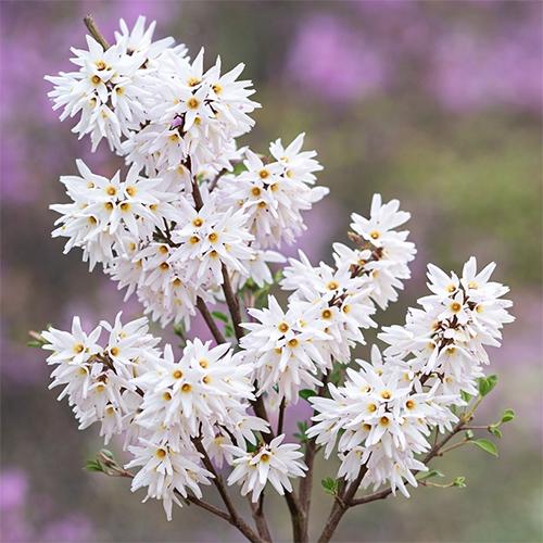 괴산장터 상품입니다