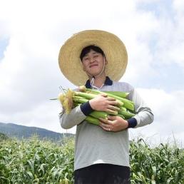 [사전예약][24살농부가키운] 괴산대학찰옥수수 (30개입) 