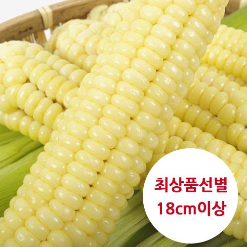 [즉시출고] 괴산대학찰옥수수 (30개입/박스/엄정선별 선물용)_생물_1
