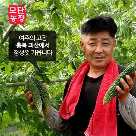 [모단농장] 2021년 햇 생여주 (5k)
