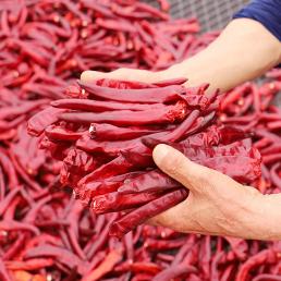 [옛날맛농장]유기농 괴산청결건고추 (3KG기준)