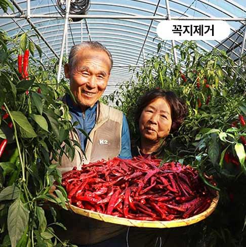 [옛날맛농장][2025]유기농 토종건고추 수비초 (3-6KG)
