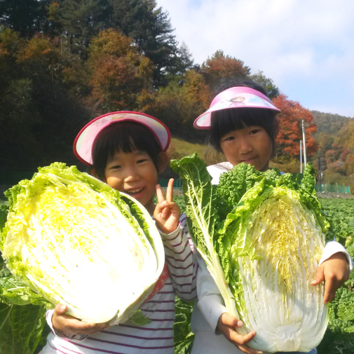 괴산장터 상품입니다