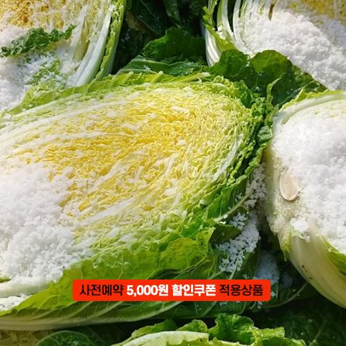 [2025사전예약][괴산젊은농부]깐깐한 괴산절임배추 15kg_1