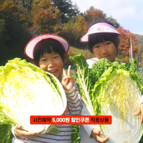 [2025사전예약][괴산젊은농부]깐깐한 괴산절임배추 15kg