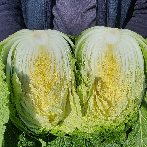 괴산장터 상품입니다