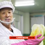 [2025사전예약][오가농원]괴산시골절임배추 (20kg)