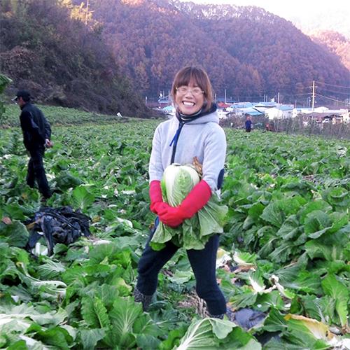 [2025사전예약][꿈꾸는전한태농가]장연골 괴산절임배추 (20kg)