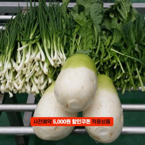 [2025년사전예약][청천장터] 괴산 김장속재료 (쪽파+갓+무/절임배추40kg분량)