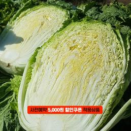 [2025사전예약][가래울농장]고랭지 괴산절임배추(20kg)