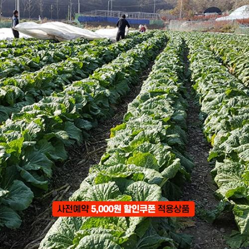 괴산장터 상품입니다
