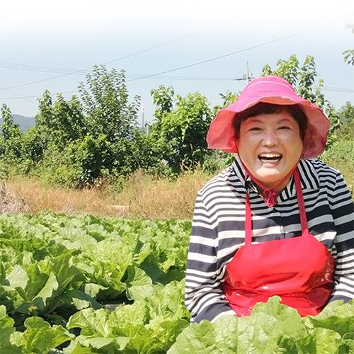 [2024년 절임배추 사전예약][칠성농장]칠성골 괴산절임배추 20kg