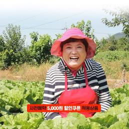 [2025사전예약][칠성농장]칠성골 괴산절임배추 (20kg)
