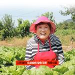 [2025사전예약][칠성농장]칠성골 괴산절임배추 (20kg)