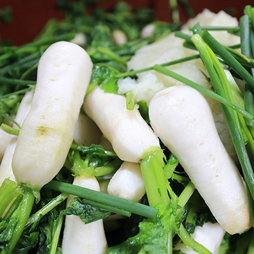 [2025사전예약][신토불이농장] 절임알타리무 (10kg)